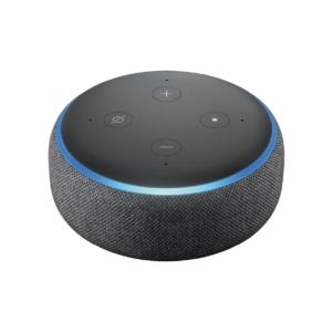 Amazion Alexa handicap